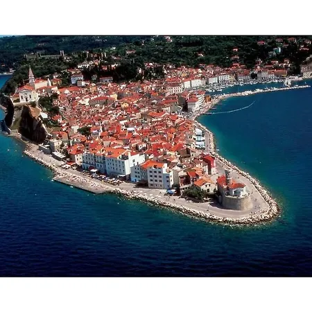 Heidi Comfortable * Portorož