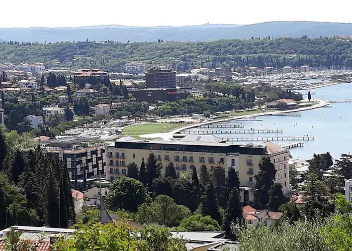 Heidi Comfortable 波尔托罗